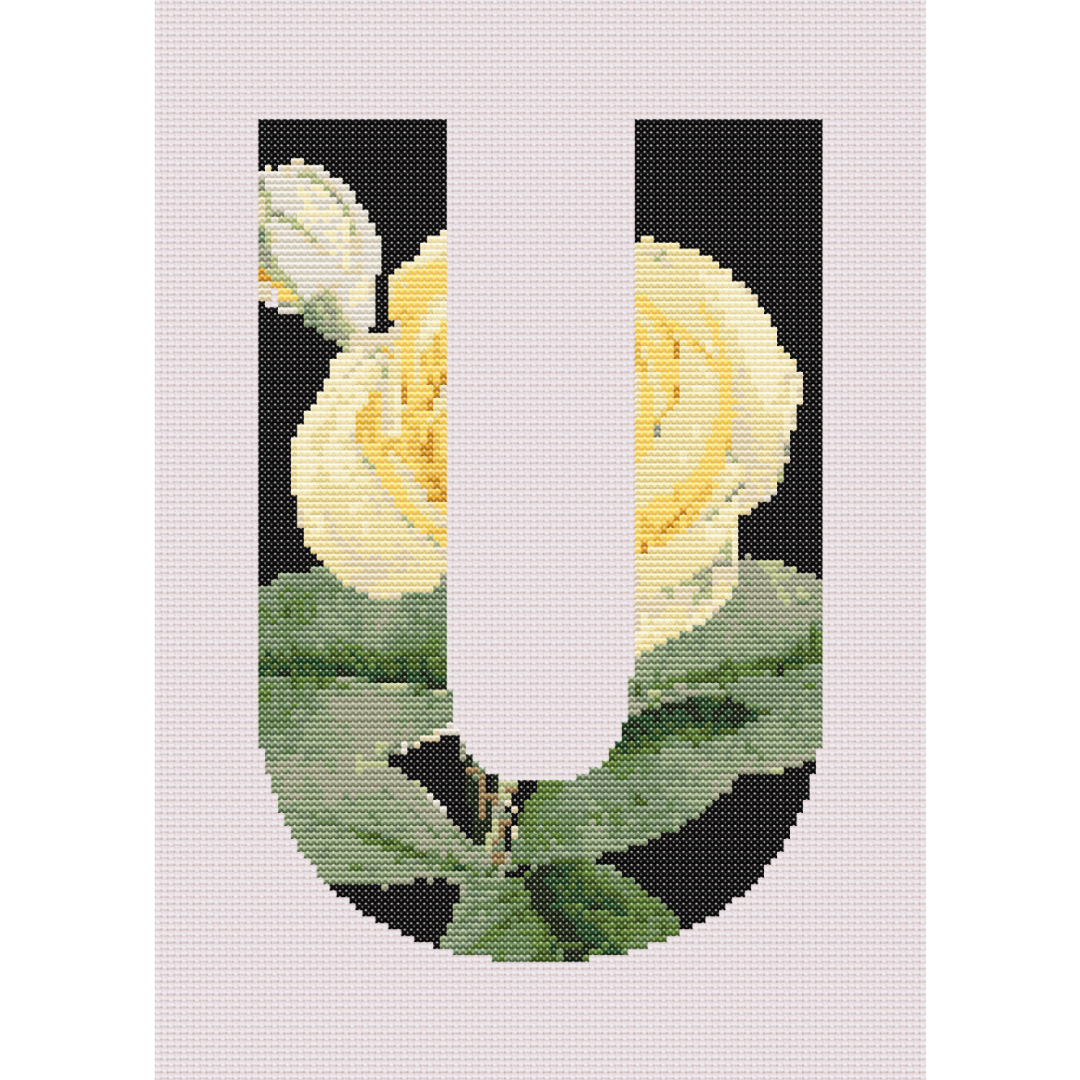 Yellow Rose on Black U Monogram Cross Stitch Pattern