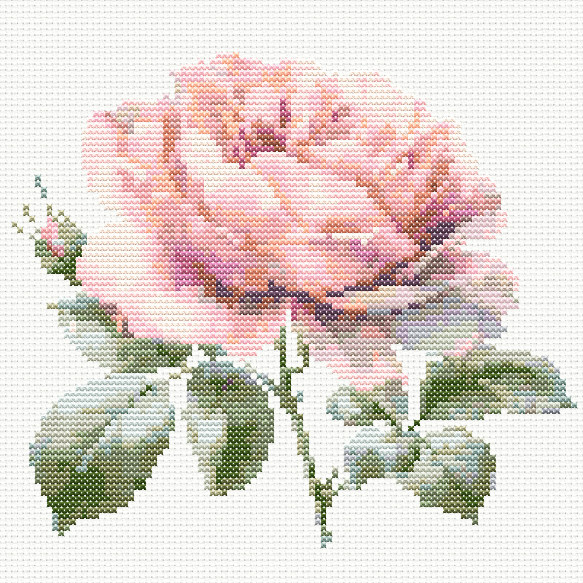 Watercolour Pink Rose 1 Cross Stitch Pattern