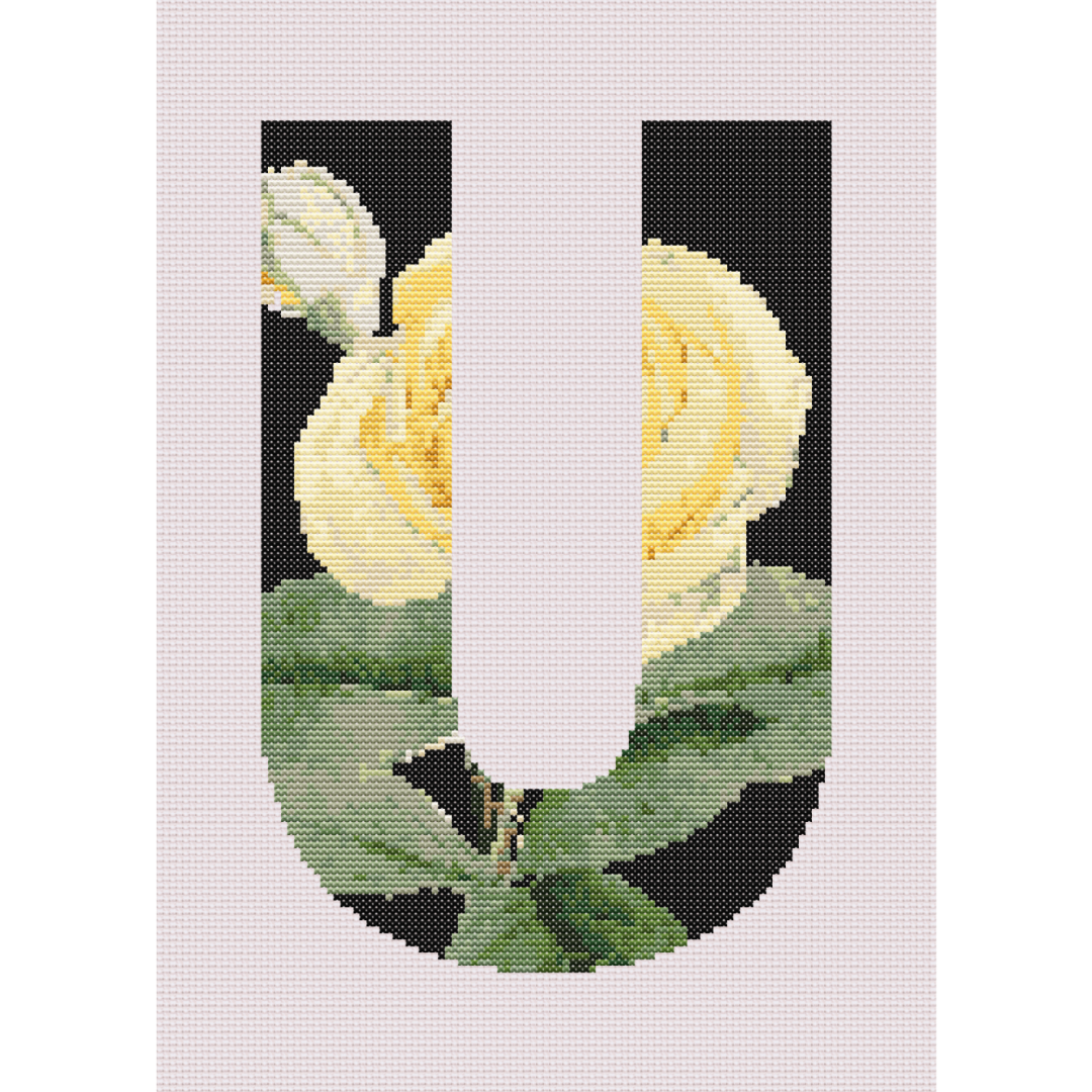 Yellow Rose on Black U Monogram Cross Stitch Pattern 