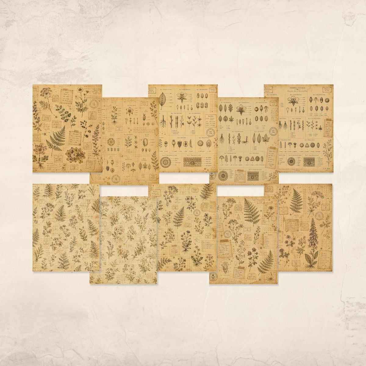 Antique Botanical Junk Journal Kit
